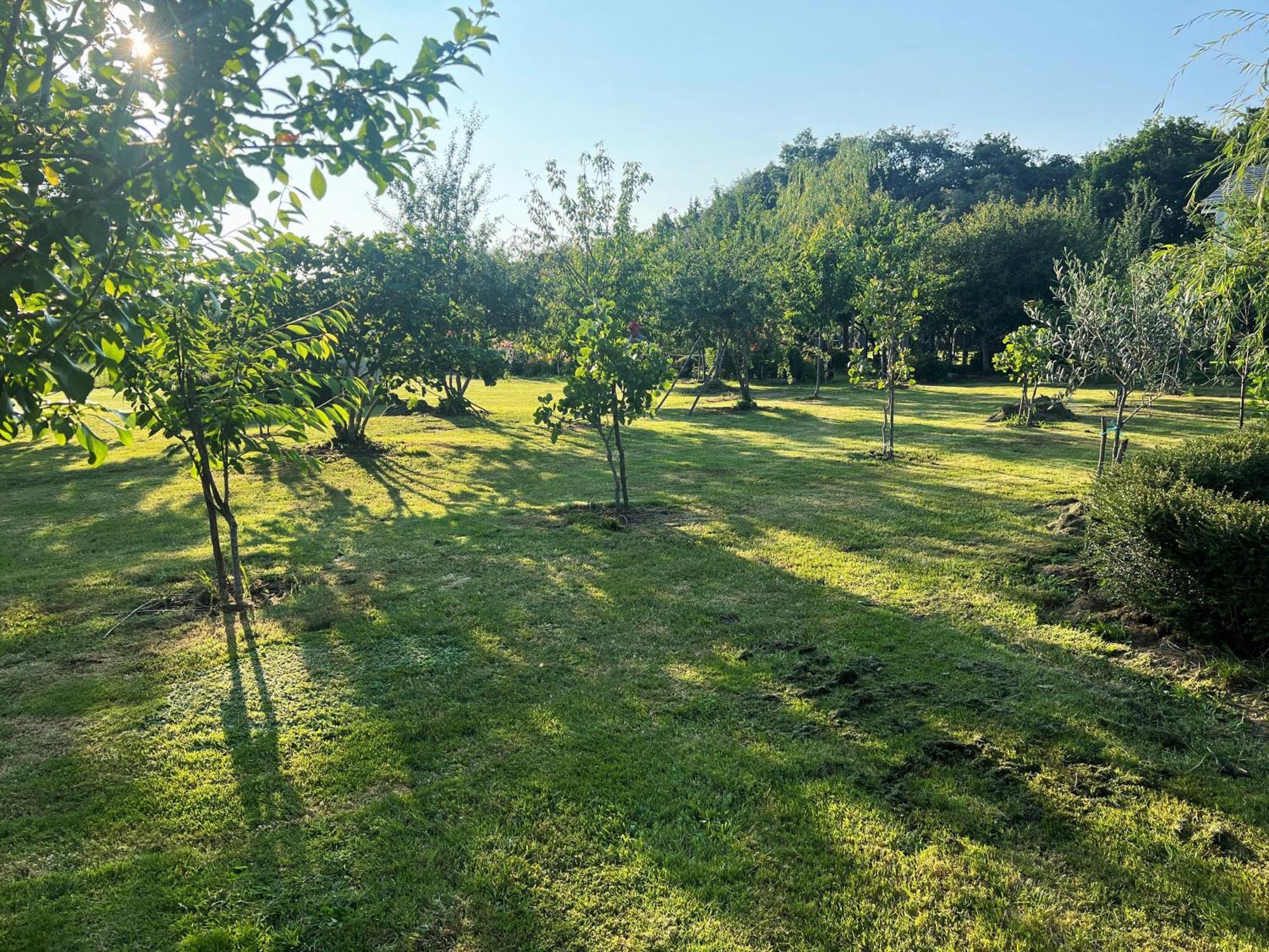 Villa Albaredo Villameá Eksteriør billede