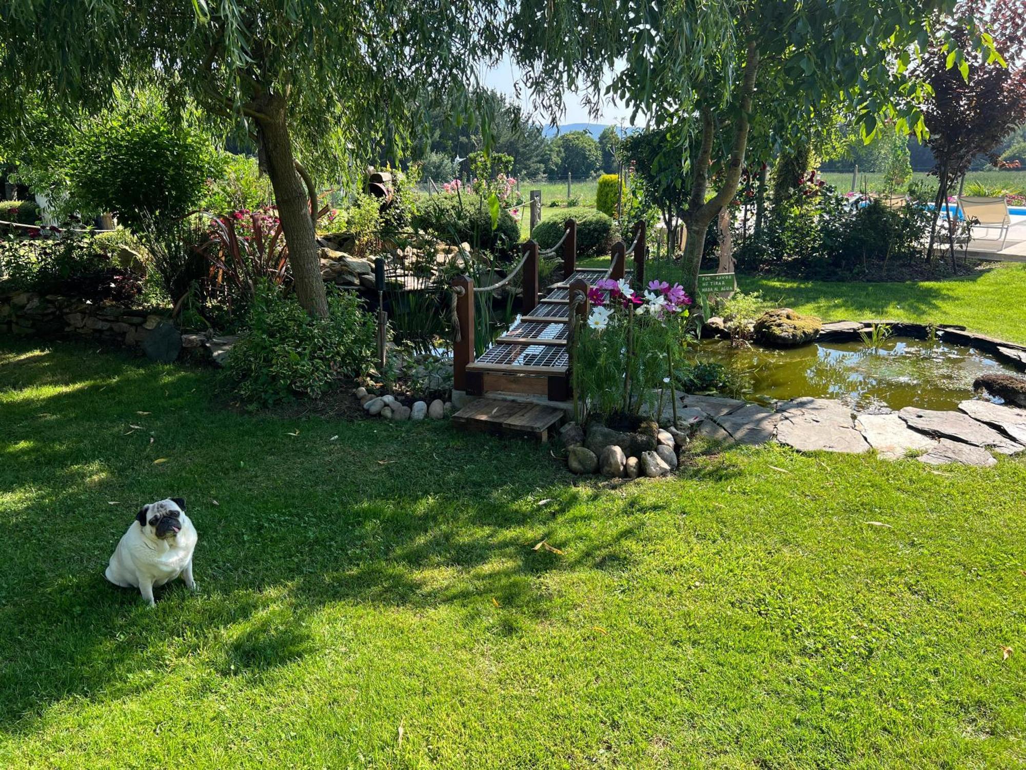 Villa Albaredo Villameá Eksteriør billede